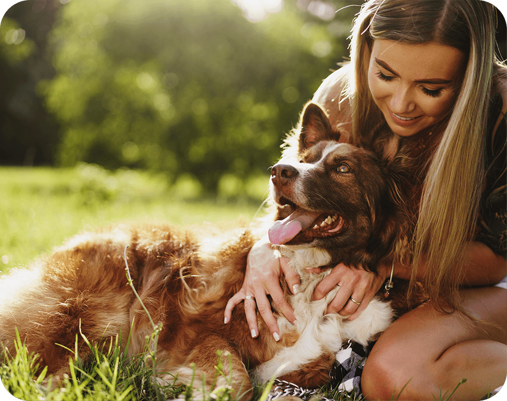 Trend-Shop_Pets Trend-Shop_Pets